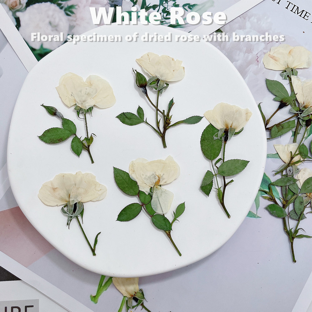 12pcs, Nature White Pink Red R - Wedding Card Box 评论和价格